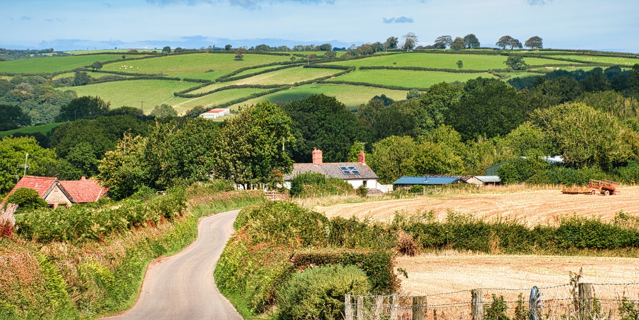 Devon countryside 
